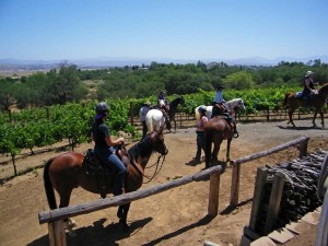 Group of guests on horseback departing the hitching rail next to the winery.